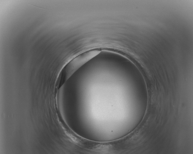 X0000061151513200511241817