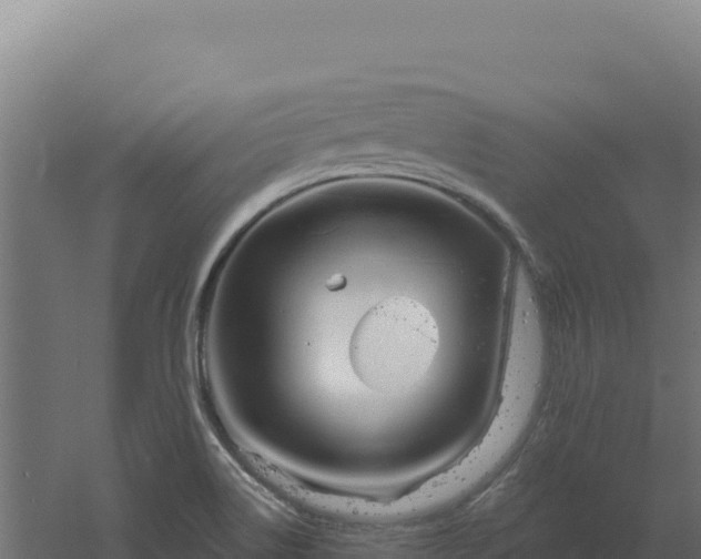 X0000061151514200511241817