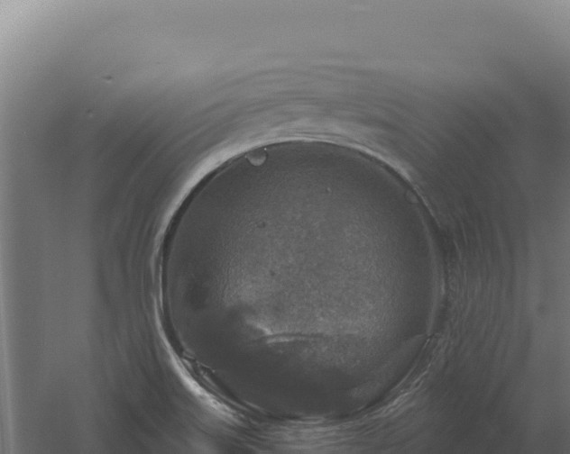 X0000061151515200511241817