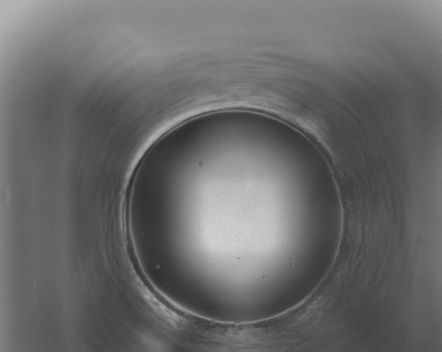 X0000061151516200511241817