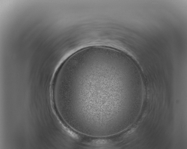 X0000061151517200511241817