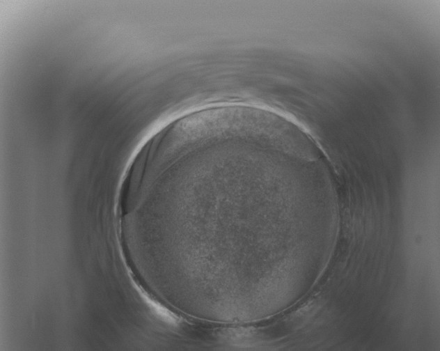 X0000061151519200511241817