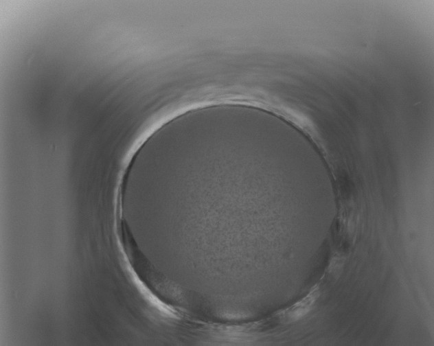 X0000061151520200511241817