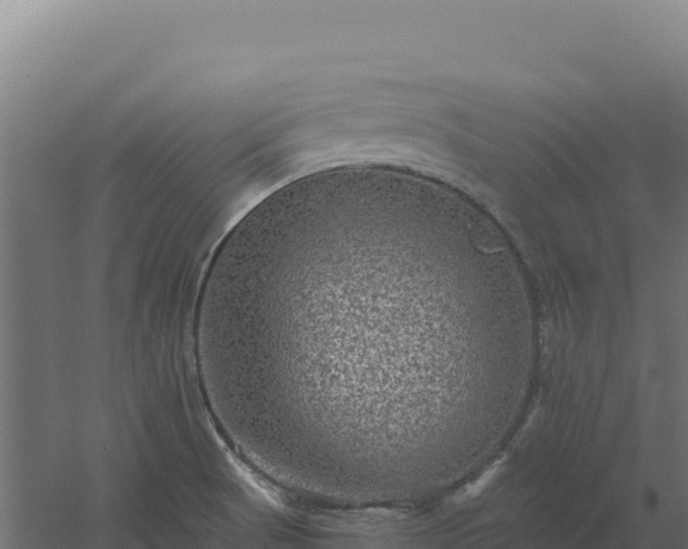 X0000061151521200511241817