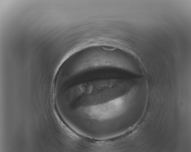 X0000061151522200511241817