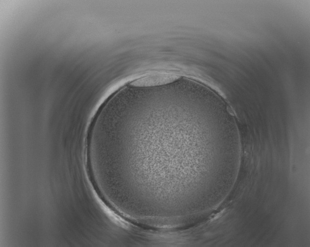 X0000061151523200511241817