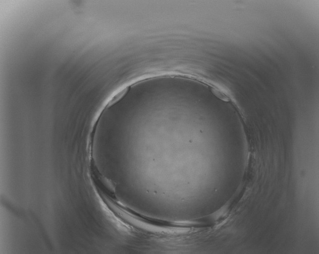 X0000061151524200511241817