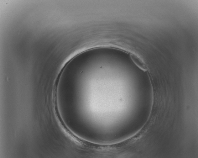 X0000061151526200511241817