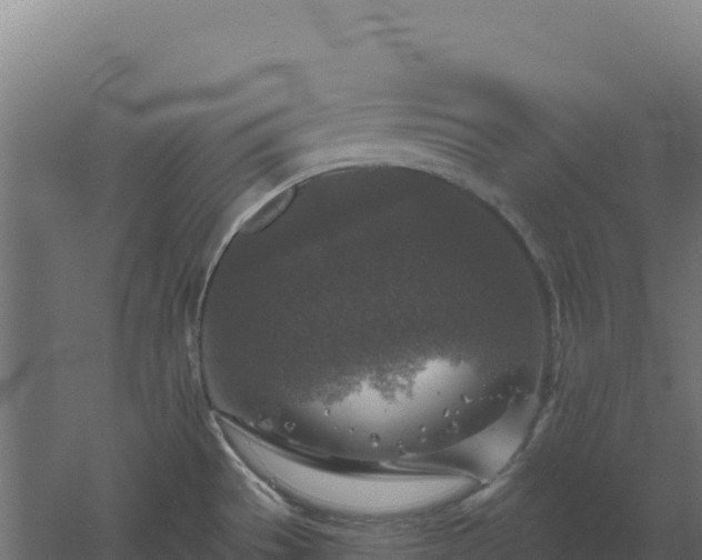 X0000061151529200511241817