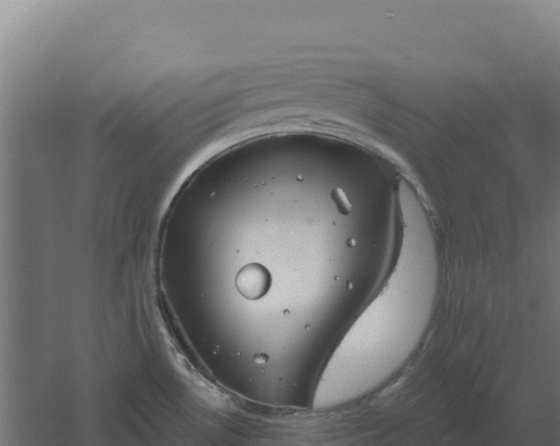 X0000061151530200511241817