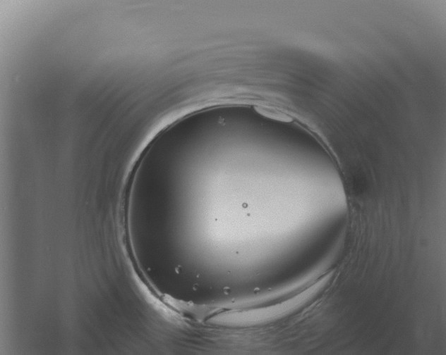 X0000061151531200511241817