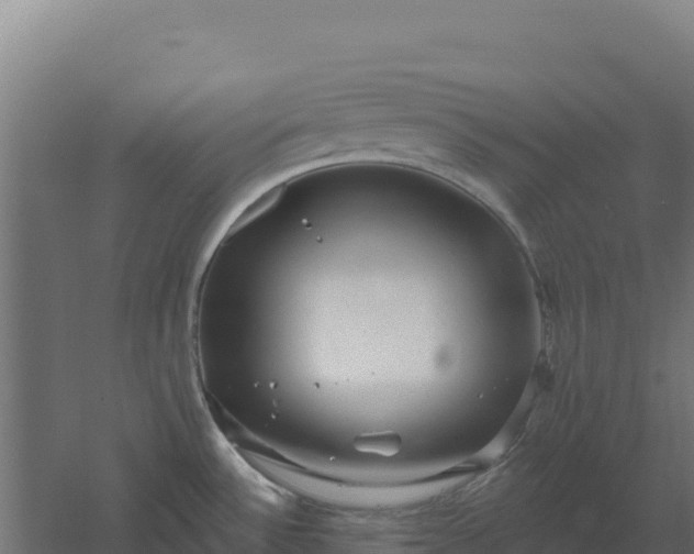 X0000061151532200511241817