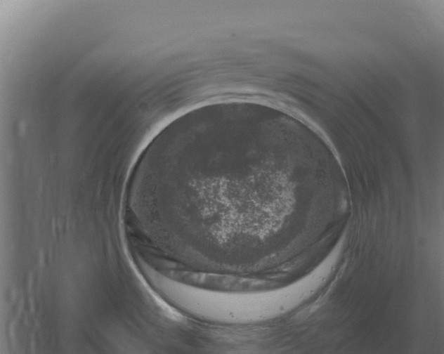 X0000061151533200511241817