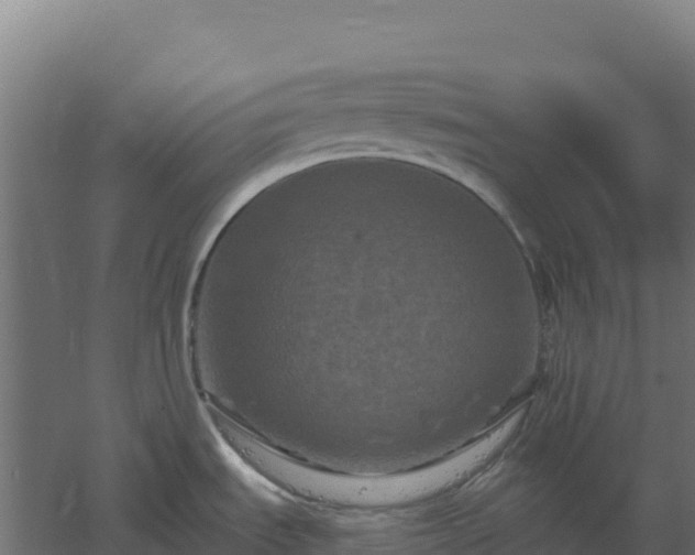 X0000061151535200511241817