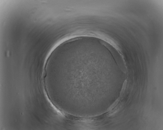 X0000061151536200511241817