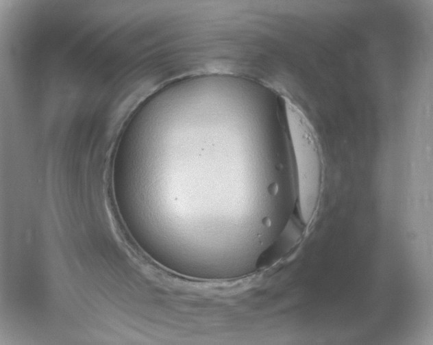 X0000061150001200512022327