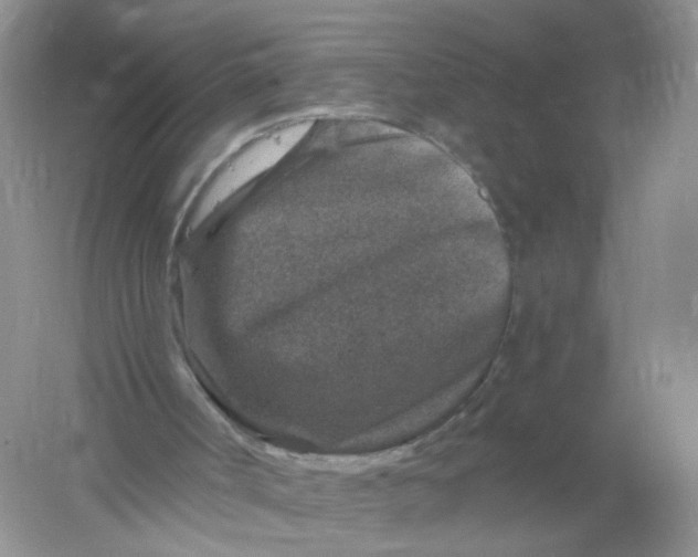 X0000061150002200512022327