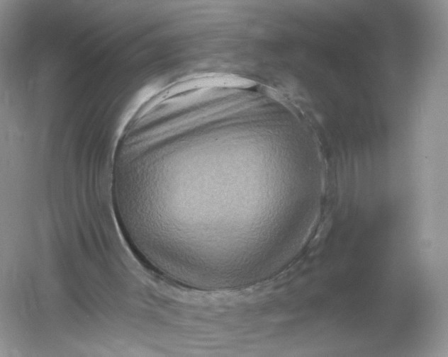 X0000061150003200512022327