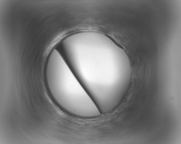 X0000061150005200512022327