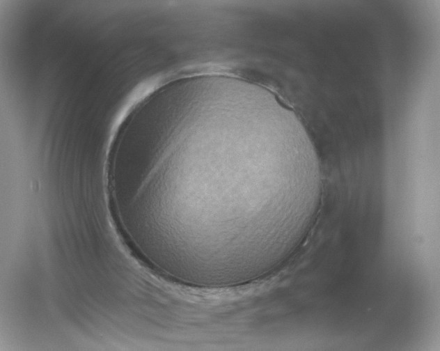 X0000061150006200512022327