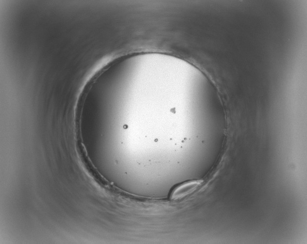 X0000061150008200512022327