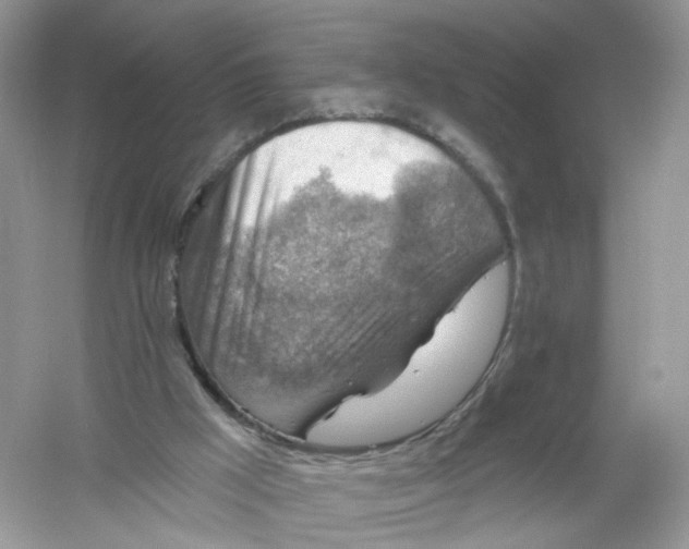 X0000061150009200512022327