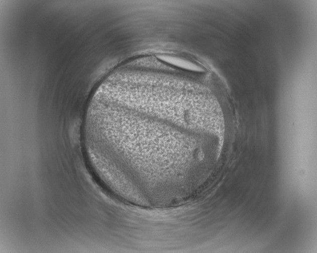 X0000061150010200512022327