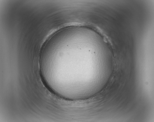 X0000061150011200512022327