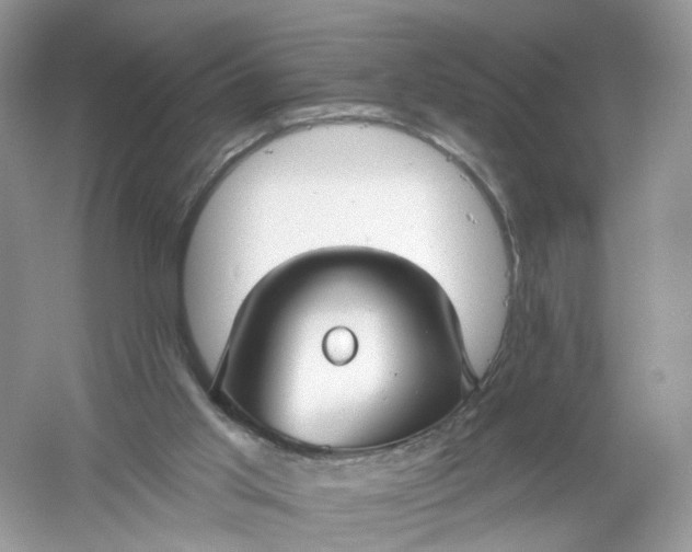 X0000061150013200512022327