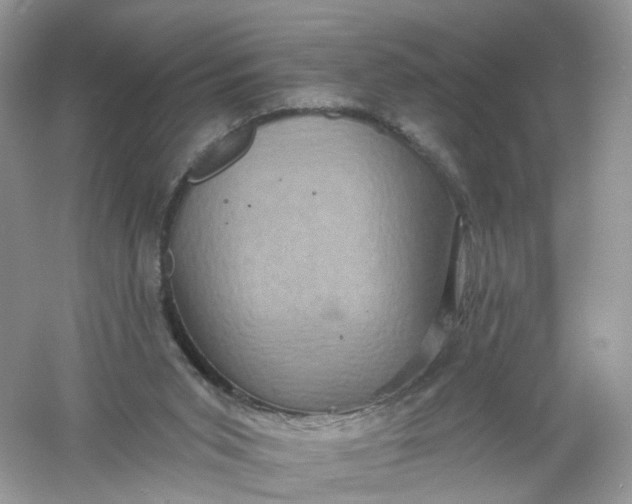 X0000061150015200512022327