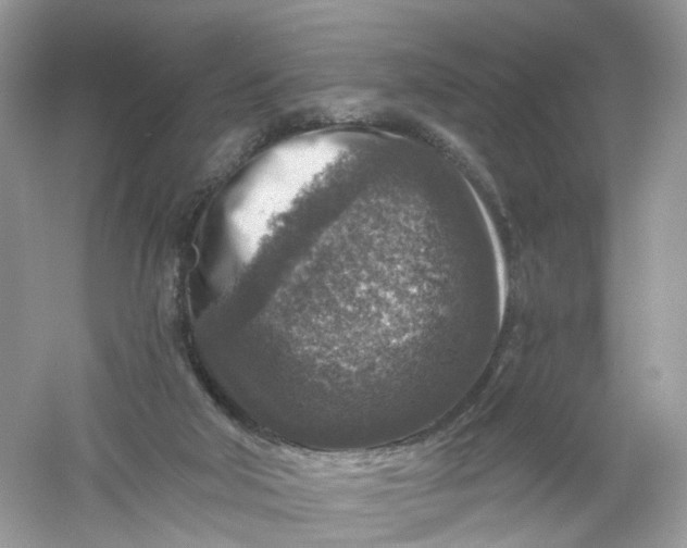 X0000061150018200512022327