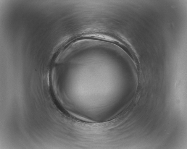 X0000061150019200512022327