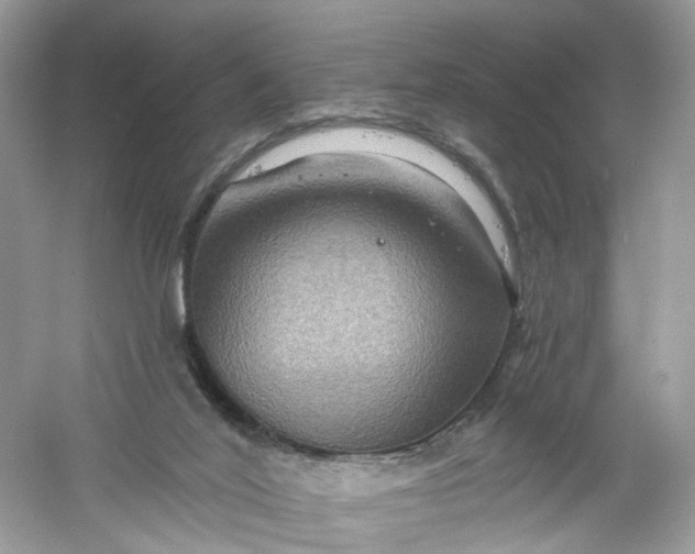 X0000061150020200512022326