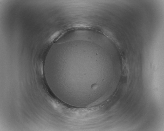 X0000061150021200512022326