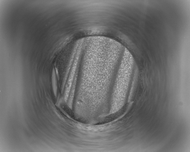 X0000061150022200512022326