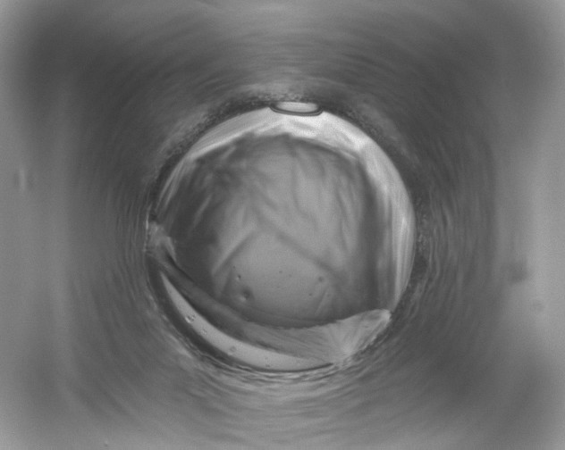 X0000061150023200512022326