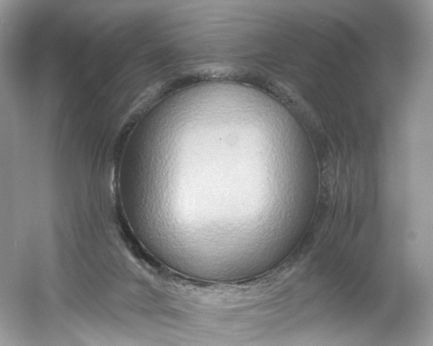 X0000061150024200512022326