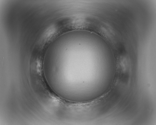 X0000061150025200512022326