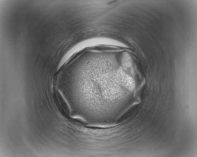 X0000061150026200512022326