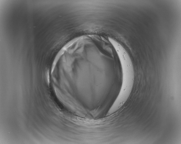 X0000061150027200512022326