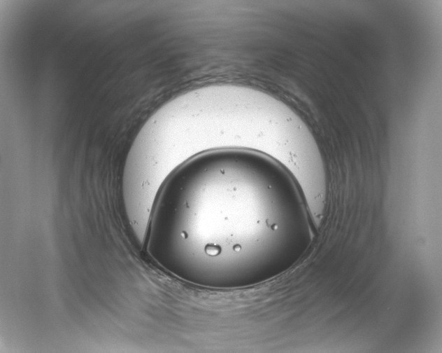 X0000061150029200512022326