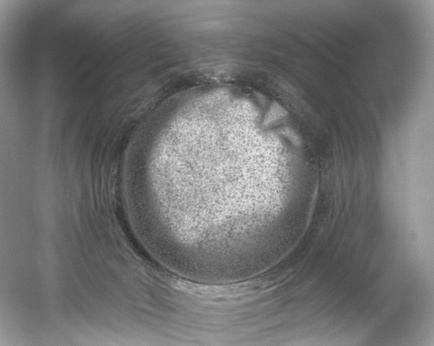 X0000061150030200512022326