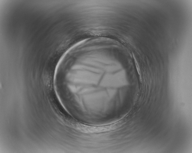 X0000061150031200512022326