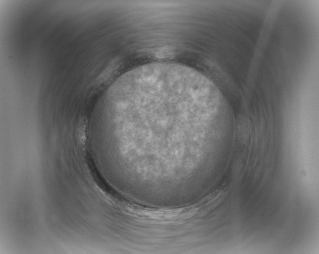 X0000061150032200512022326