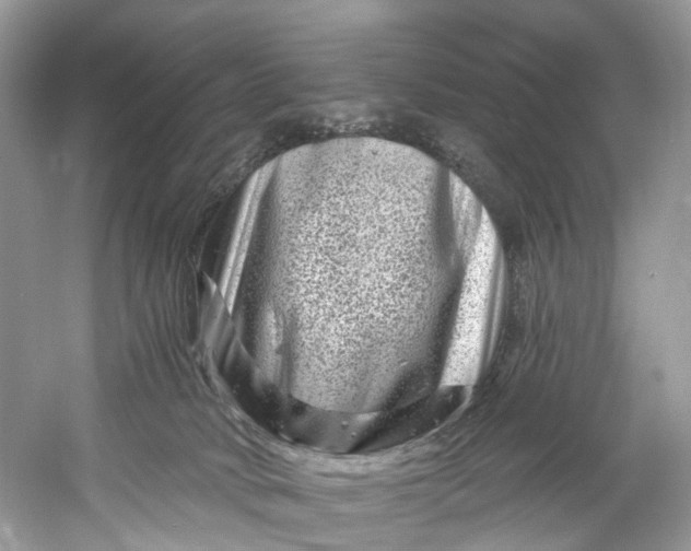 X0000061150034200512022326