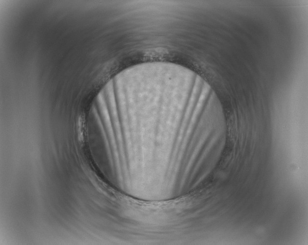 X0000061150038200512022326