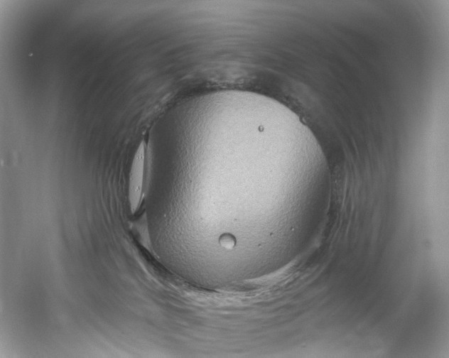 X0000061150040200512022326