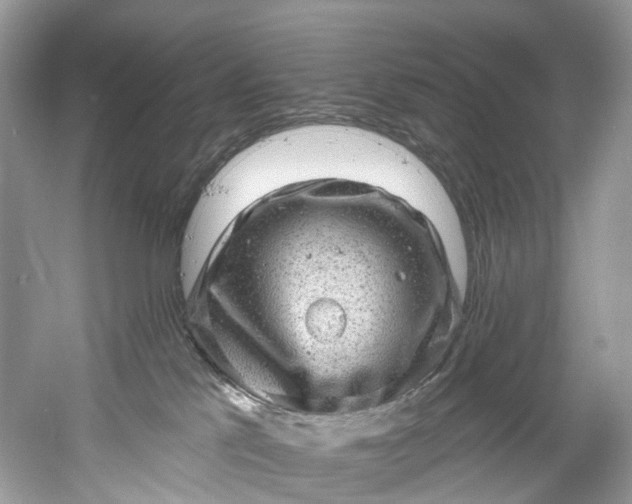 X0000061150041200512022326