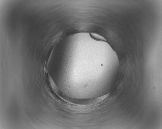 X0000061150044200512022326