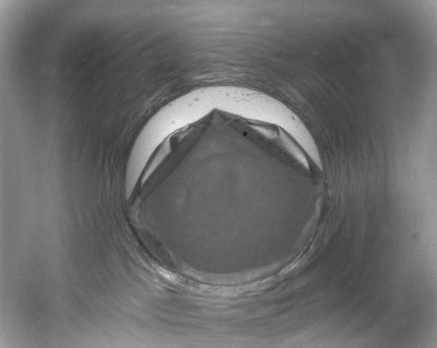 X0000061150045200512022326